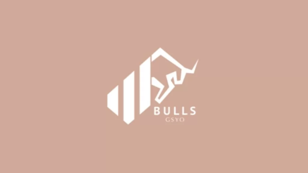 Bulls Girişim Sermayesi Yatırım Ortaklığı A.Ş. (BULGS)