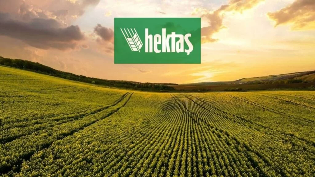 Hektaş (HEKTS) imtiyaz başvurusunu geri çekti | Rota Borsa